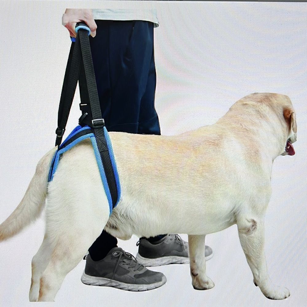 Rozkitch Pet Dog Support Harness Rear Lifting Medium